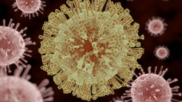 Ilustrasi virus Zika. Photo: Aunt Spray/Shutterstock 