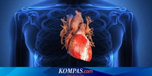 Sumber: Kompas.com