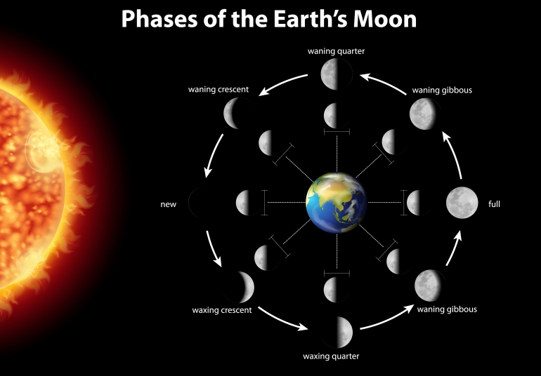  Perubahan bentuk bulan sebagai penanda waktu (foto: Solar eclipse vector created by brgfx - www.freepik.com)