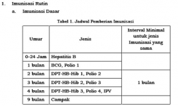 Gambar 2. Jadwal Imunisasi Dasar Lengkap (Promkes Kemenkes)