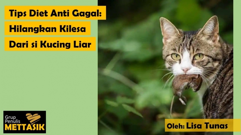 Tips Diet Anti Gagal: Hilangkan Kilesa dari si Kucing Liar (gambar: justagric.com, diolah pribadi)