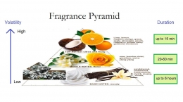 Fragrance Pyramid (Diolah dari Jurnal A Review on Perfumery)
