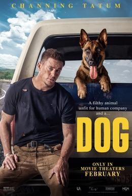 Sumber foto : imdb.com | Ilustrasi Poster resmi Film Dog Channing Tatum