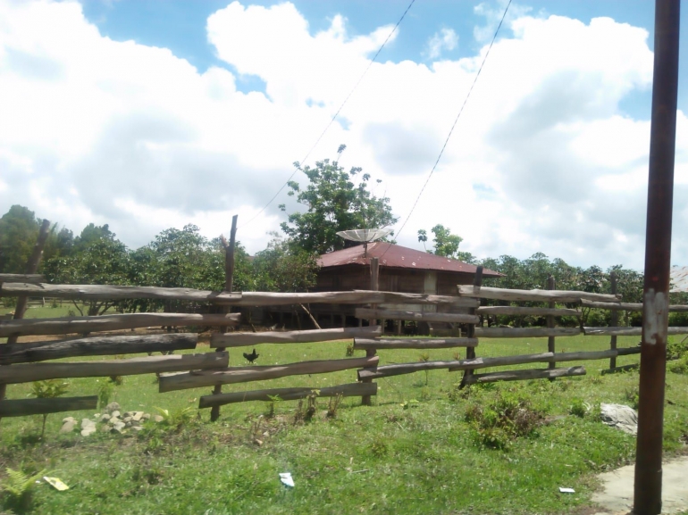 Rumah warga yang menyatu dengan lahan pengembalaan di rute perjalanan menuju danau Aek Natonang (Dok. Pribadi)