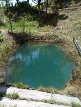 Sumber air danau Aek Natonang dari dalam perut bumi (Dok. Pribadi)