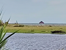 Tongkang pengangkut batubara dilihat dari kebun ( dok pribadi)