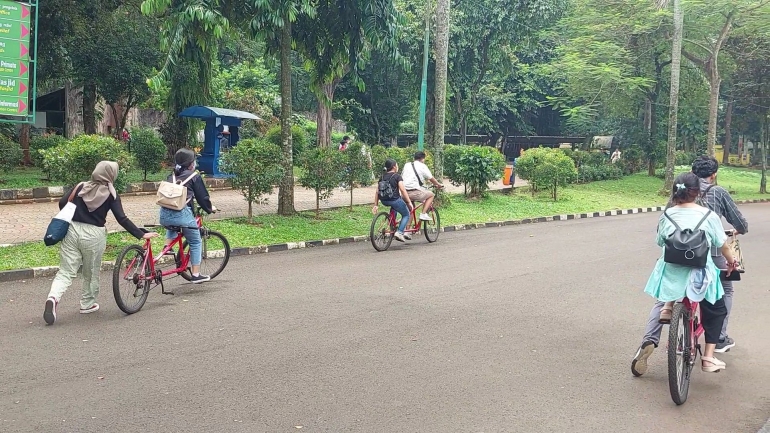 Pengunjung menyewa sepeda ganda untuk berkeliling Ragunan. Dokpri