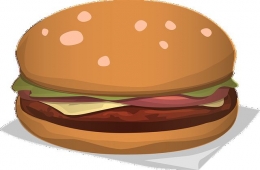 Makanan (Sumber: https://pixabay.com/id/vectors/roti-isi-daging-cheeseburger-burger-576419/)