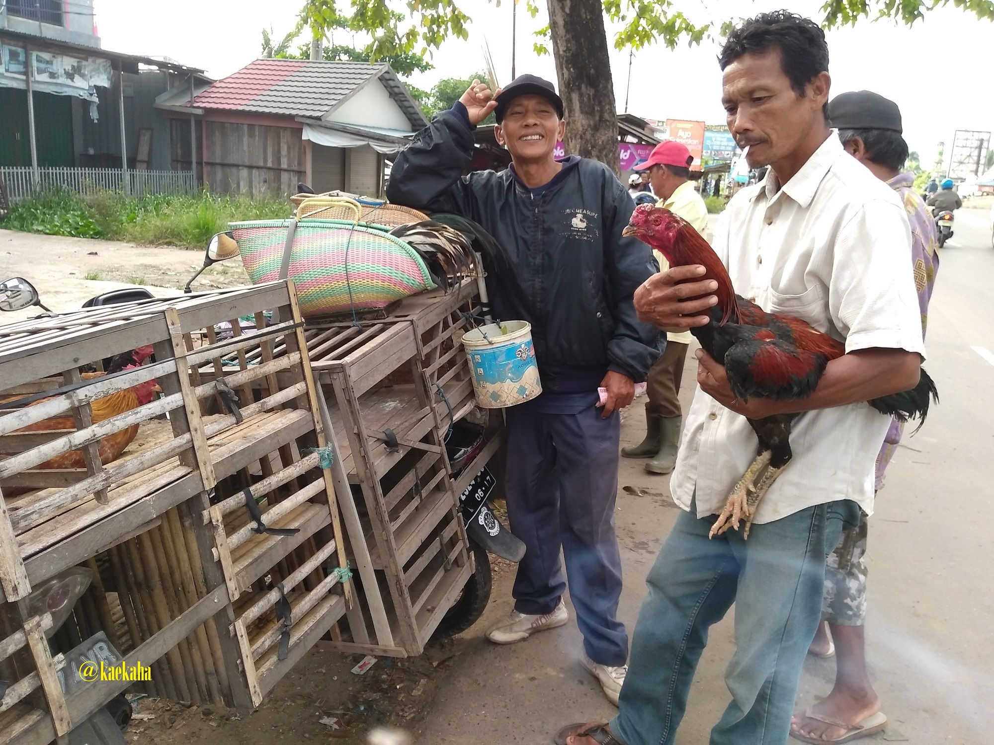 Ngobrol Lebaran di Pasar Hewan | @kaekaha