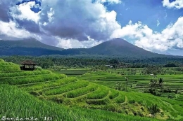 (Foto: Lumbung Pangan Sulawesi Utara/Bolmong/Dumoga) 
