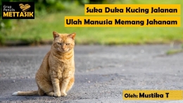 Suka Duka Kucing Jalanan, Ulah Manusia Memang Brutal (gambar: pixabay.com, diolah pribadi)