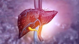 Ilustrasi hepatitis|dok. shutterstock.com, dimuat tempo.co