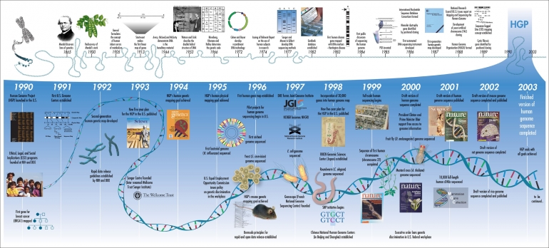 Timeline Human Genome Project/Wikimedia
