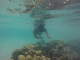 Terumbu karang pulau Asok, kepulauan Banyak, Aceh Singkil (Dok. Pribadi)