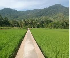 Dokpri/marwan (Dokpri)