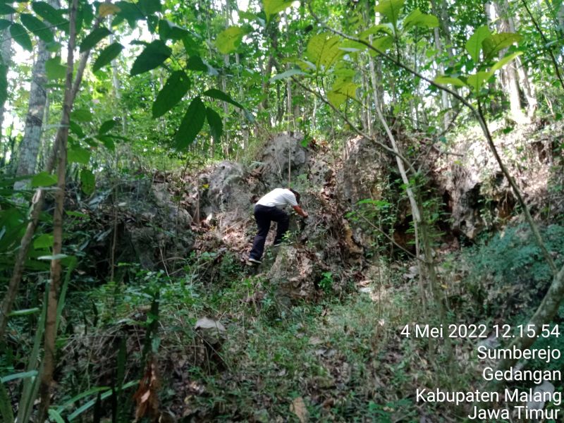 Menuruni bukit belakang rumah. | Dokumen pribadi.