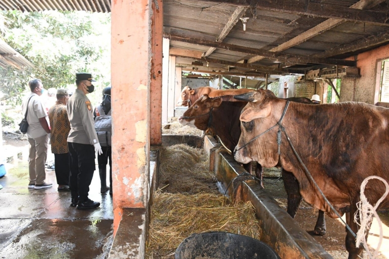Polres Madiun Kota lakukan pemeriksaan hewan ternak di Madiun. Foto dokpri via Humas Kota