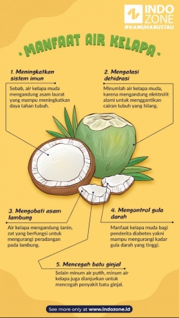 Infografis Manfaat Air Kelapa Muda/Sumber: statics.indozone.news