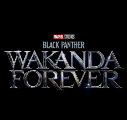 Black Panther: Wakanda Forever (imdb.com)