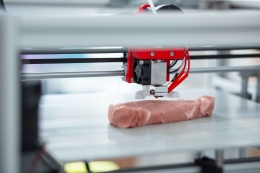 Ilustrasi mesin 3D Printing untuk produksi daging analog. Foto: shutterstock. https://www.shutterstock.com/image-photo/absolutely-alike-close-3d-print