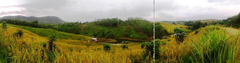 Figure 1 Artefak Ladang Tradisi Tersisa di Kabupaten Melawi. Pengambilan foto 7 Aprip 2021/Dokpri