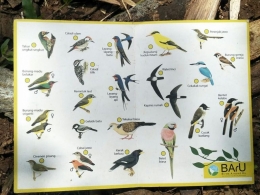 Sumber foto https://unikonservasifauna.org/berawal-dari-instagram-hingga-mengamati-burung-bersama