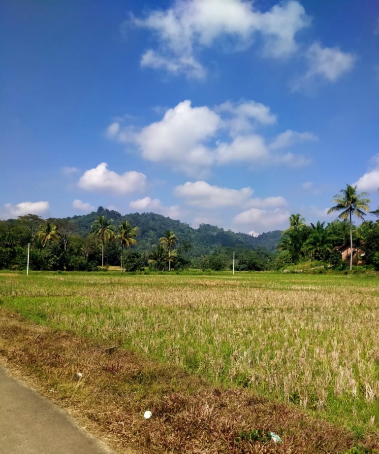 Kondisi sekitar kawasan hutan lindung KPH Way Waya