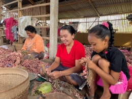 Gambar 1 Para Petani Bawang Desa Purworejo sedang Panen. Dokpri