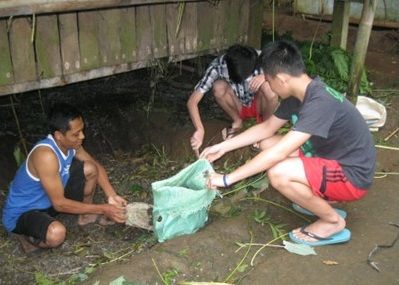 Membersihkan kendang kambing | Dok Pribadi