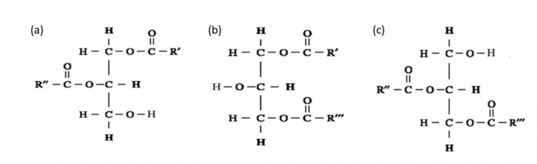 Gambar 2. Jenis isomer DAG, (a) sn-1,3-DAG, (b) sn-1,2-DAG, dan (c) sn-2,3-DAG), dimana R', R