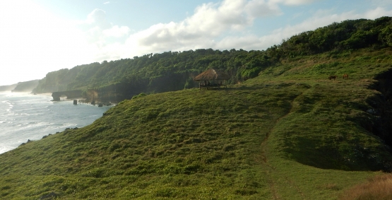 Padang rumput dan ilalang, yang umum dijumpai di Pulau Sumba. (@Hanom Bashari) 