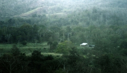 Petak-petak hutan, padang ilalang, kebun, dan rumah di Pulau Sumba. (@Hanom Bashari) 