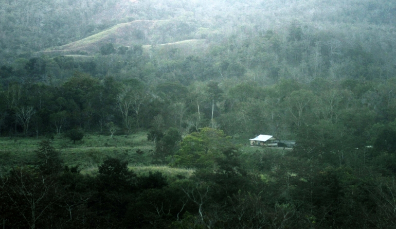 Petak-petak hutan, padang ilalang, kebun, dan rumah di Pulau Sumba. (@Hanom Bashari) 