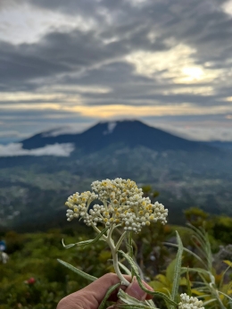 Penampakan Gunung Singgalang diatas cadas tepi Gunung Marapi (Foto : Dok Pribadi)