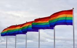 LGBTQ+ Perbuatan Menyimpang, Penyakit Menular, Mendukungnya Sama Saja Menyiksa Pelakunya/pixabay/Filmbetrachter