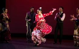 Flamenco (sumber: albany.edu)