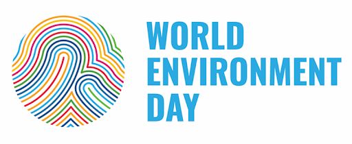 Logo Hari Lingkungan Hidup Sedunia 2022 (Sumber: worldenvironmentday.global)