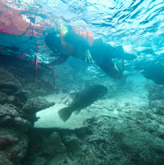 Image: Menyelami dalamnya lautan seperti menyelami samudera kehidupan (Gaya Kakek Merza ngebolang)