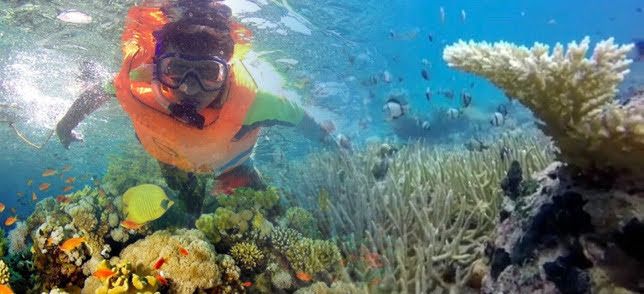 Image: Salah satu aktivitas di dalam laut untuk mencintai Negeri Tercinta Indonesia (by Merza Gamal)