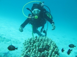 Image: Diving di sekitar Pulau Senoa juga tak kalah menarik dan menantang (Photo by Merza Gamal)
