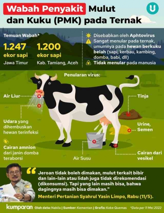 Infografis wabah PMK pada ternak | Sumber: blue.kumparan.com
