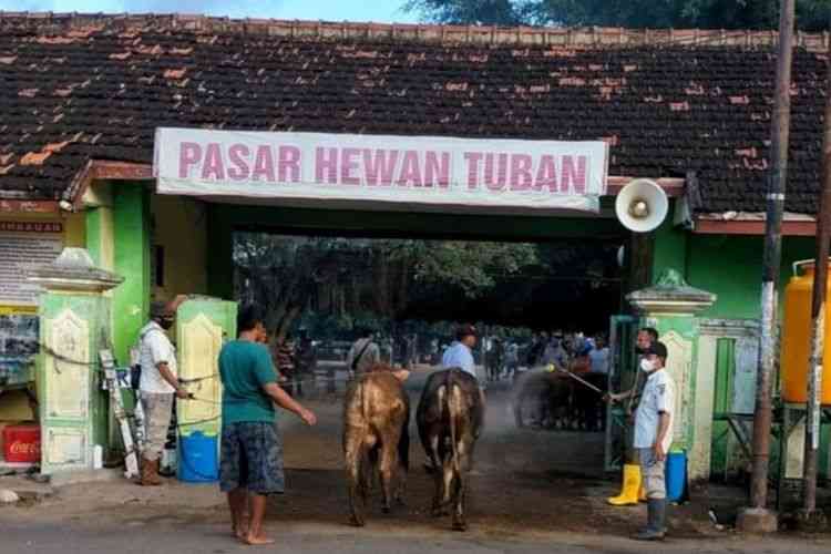 Peternak menggiring ternaknya memasuki pasar hewan Tuban | By Hamim via asset.kompas.com
