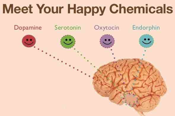 4 Hormon Kebahagiaan Dan Cara Mendapatkannya Halaman 1 - Kompasiana.com