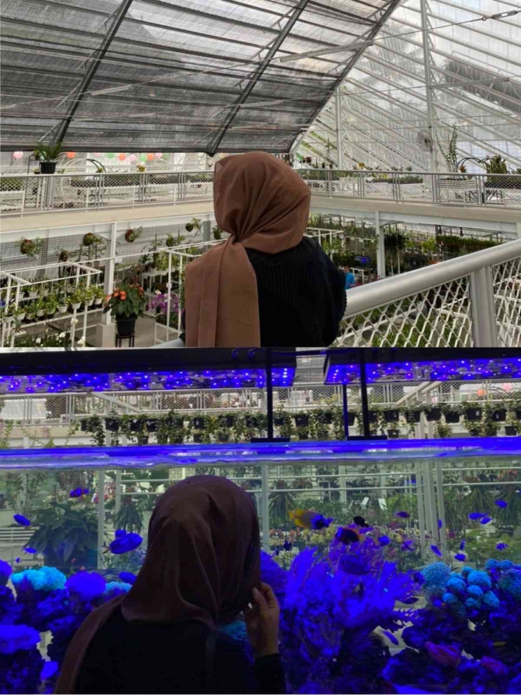 Penulis di dalam Green House (DOKPRI)