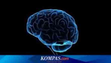 Sumber: Kompas