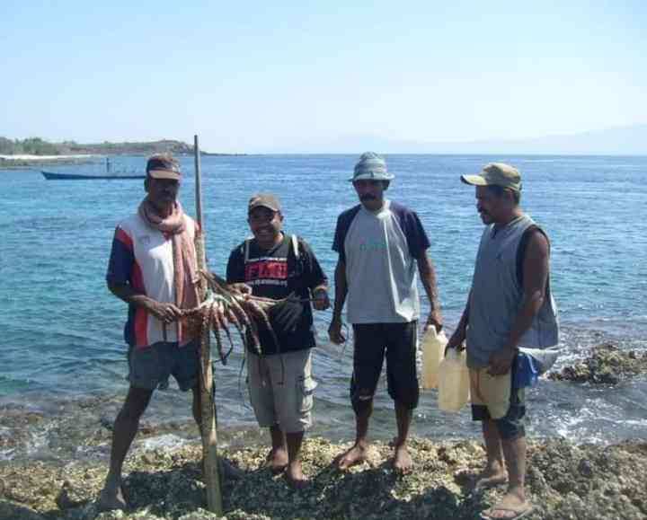 Kegiatan lain: mengambil gurita raksasa di perairan Alro, NTT. dok pribadi
