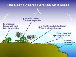 Ilustrasi Coastal Defense/By Arthur Webb/Sumber:www.researchgate.net