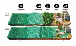 Ilustrasi mangrove sebagai peredam energi gelombang/Sumber:climatechampions.unfccc.int
