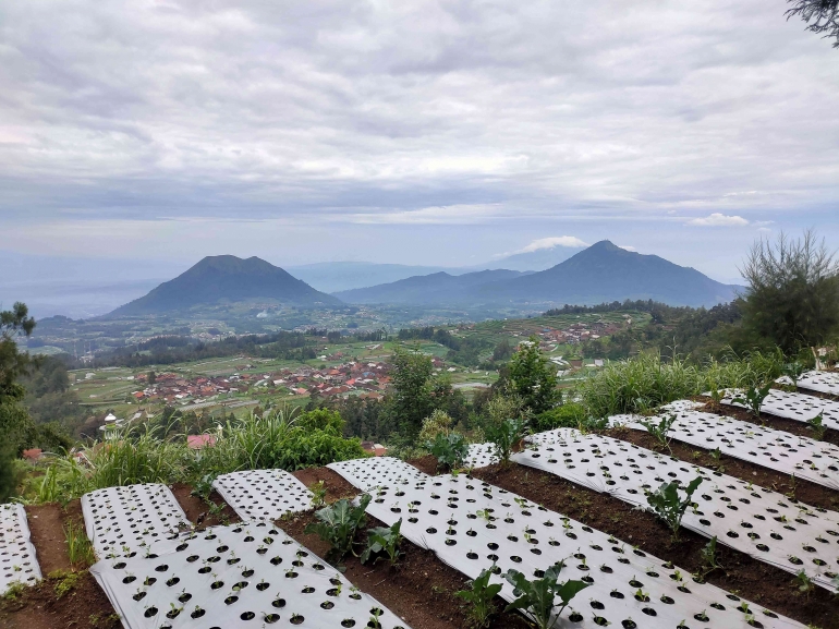 Suasan Basecamp Wekas