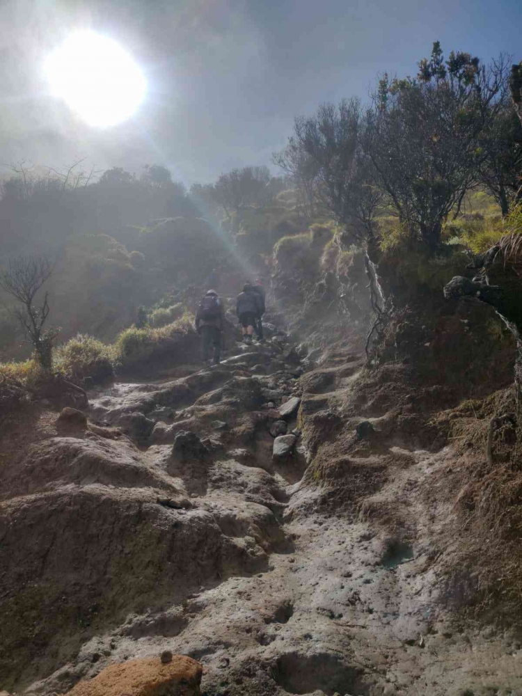 Jalan menuju Puncak Merbabu